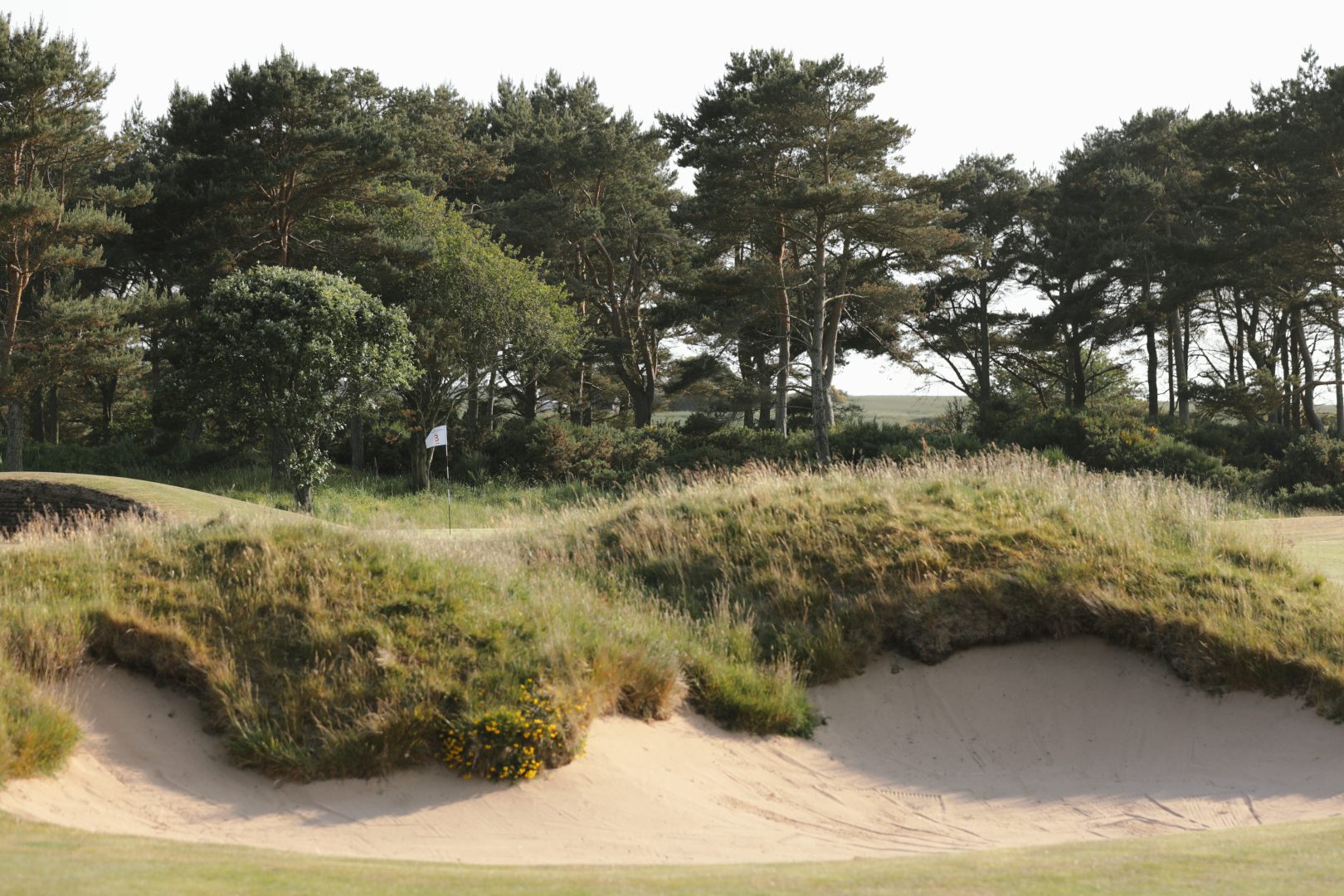 Nairn Golf Club, Highland Golf Photography by AKH Golf
