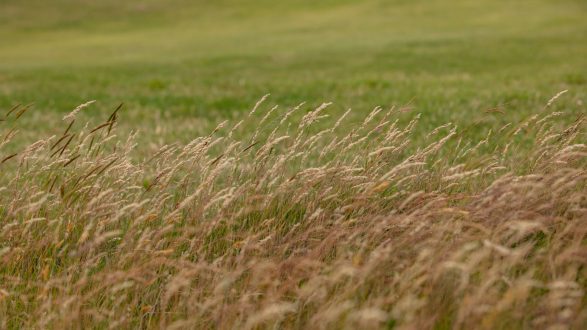 Shaun McCrary Group at The Home of Golf. The Old Course St Andrews Scotland